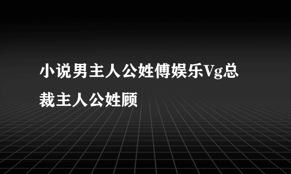 小说男主人公姓傅娱乐Vg总裁主人公姓顾