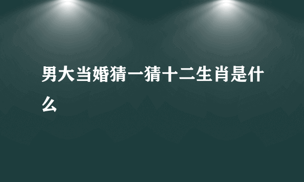 男大当婚猜一猜十二生肖是什么