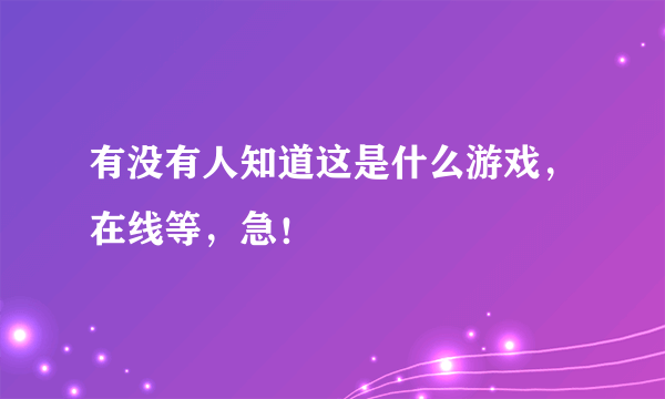 有没有人知道这是什么游戏，在线等，急！