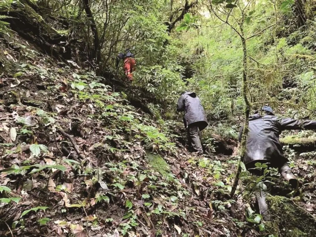 云南4名经验丰富的地质人员，为何没能走出大山？