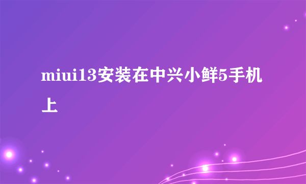 miui13安装在中兴小鲜5手机上