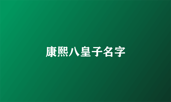 康熙八皇子名字