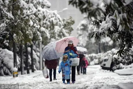 辽宁暴雪天小男孩骑马去吃米线，暴雪天出行该注意哪些安全问题？