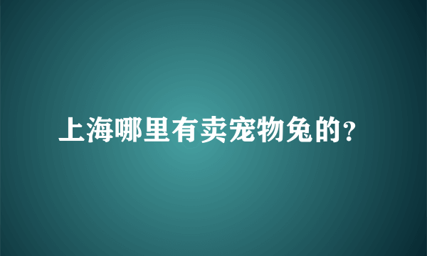 上海哪里有卖宠物兔的？