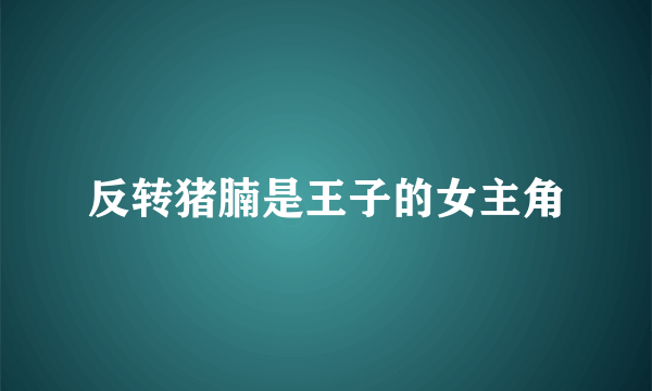 反转猪腩是王子的女主角