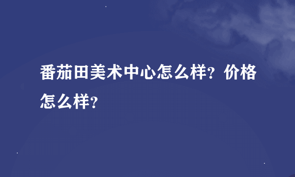 番茄田美术中心怎么样？价格怎么样？