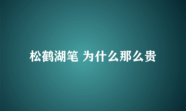 松鹤湖笔 为什么那么贵