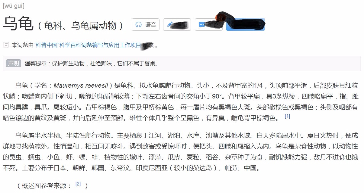 乌龟的相关资料？