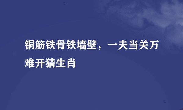 铜筋铁骨铁墙壁，一夫当关万难开猜生肖