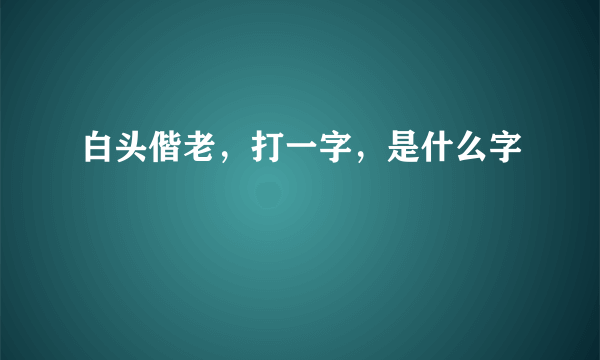 白头偕老，打一字，是什么字