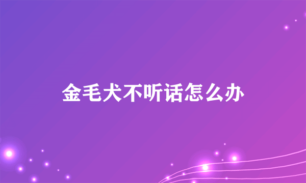 金毛犬不听话怎么办