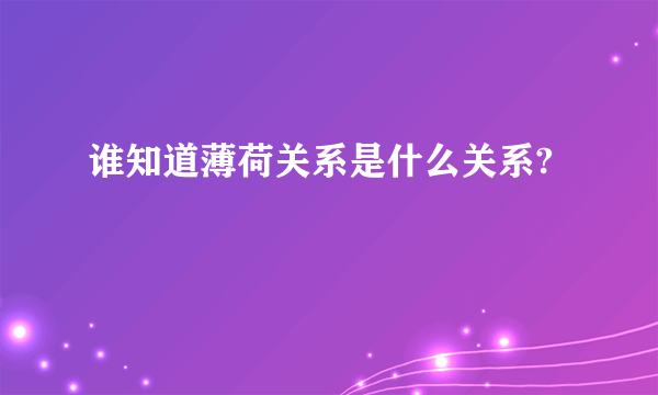 谁知道薄荷关系是什么关系?