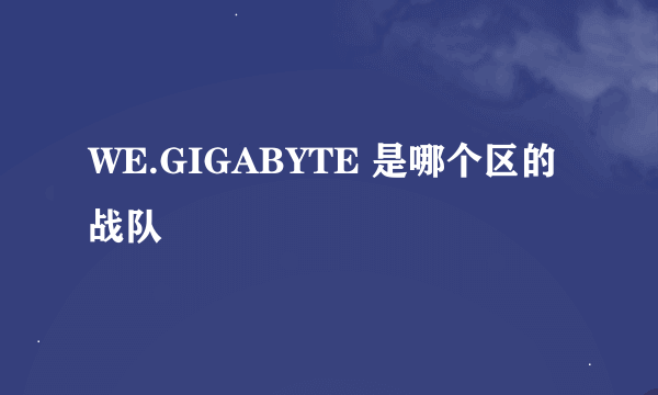 WE.GIGABYTE 是哪个区的战队