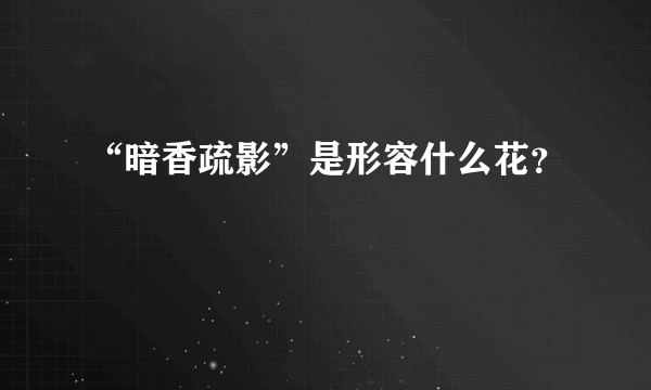 “暗香疏影”是形容什么花？