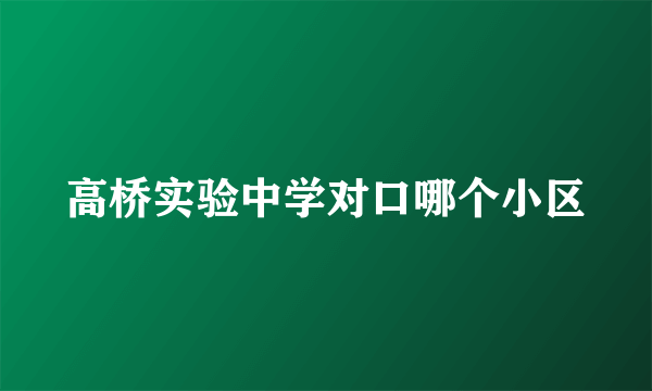 高桥实验中学对口哪个小区