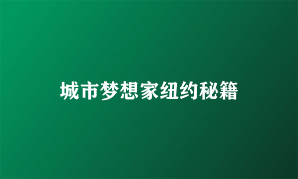 城市梦想家纽约秘籍