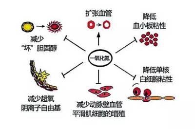 一氧化氮有什么作用？