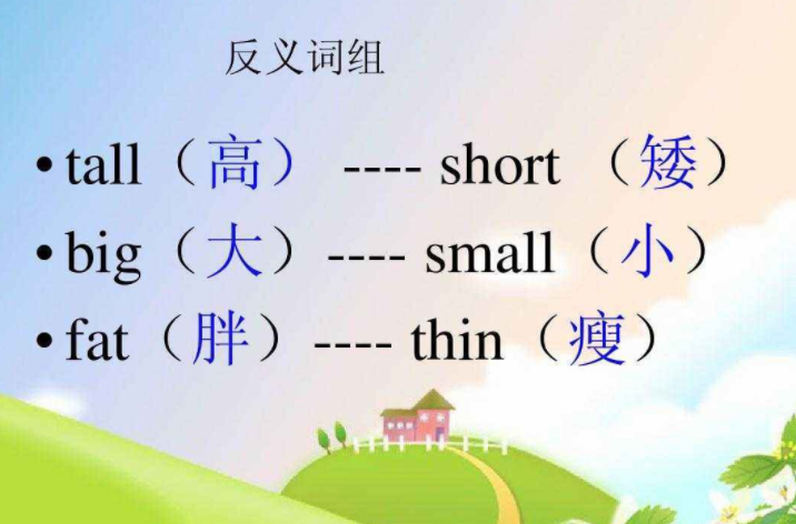 short怎么读