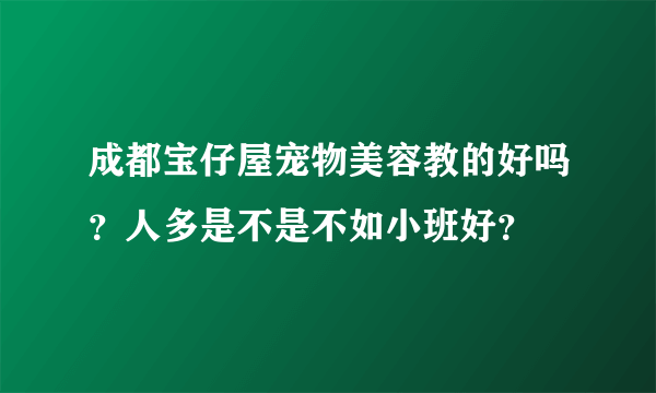 成都宝仔屋宠物美容教的好吗？人多是不是不如小班好？