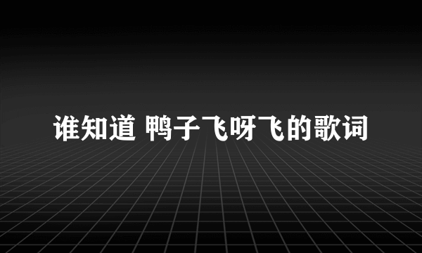 谁知道 鸭子飞呀飞的歌词