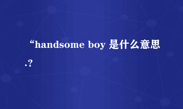 “handsome boy 是什么意思.？