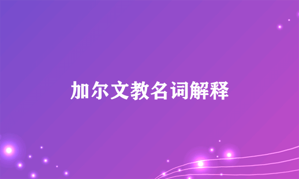 加尔文教名词解释