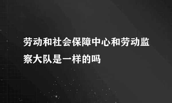 劳动和社会保障中心和劳动监察大队是一样的吗