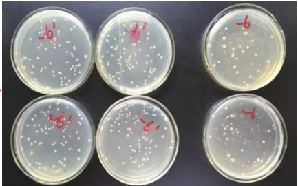 生物实验设计中为什么要设立对照，阴性对照和阳性对照的作用分别是什么？