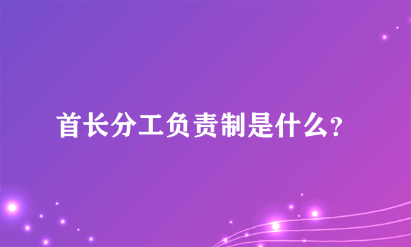 首长分工负责制是什么？