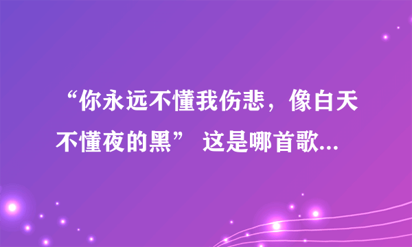 “你永远不懂我伤悲，像白天不懂夜的黑” 这是哪首歌的歌词？