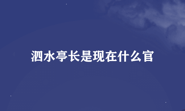 泗水亭长是现在什么官