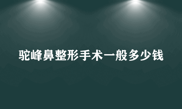 驼峰鼻整形手术一般多少钱