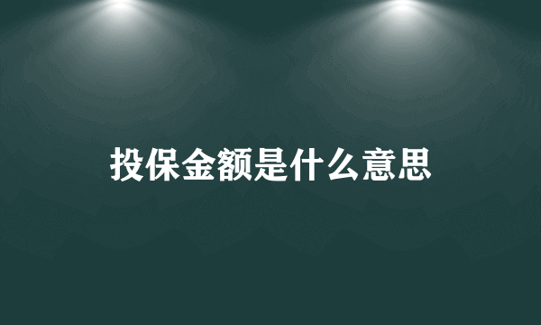 投保金额是什么意思