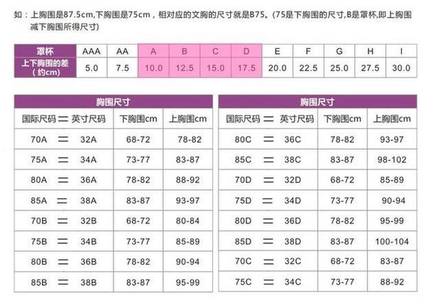 40D的胸围是多少厘米