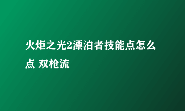 火炬之光2漂泊者技能点怎么点 双枪流