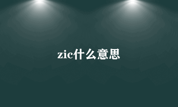 zic什么意思