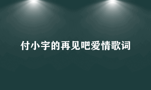 付小宇的再见吧爱情歌词