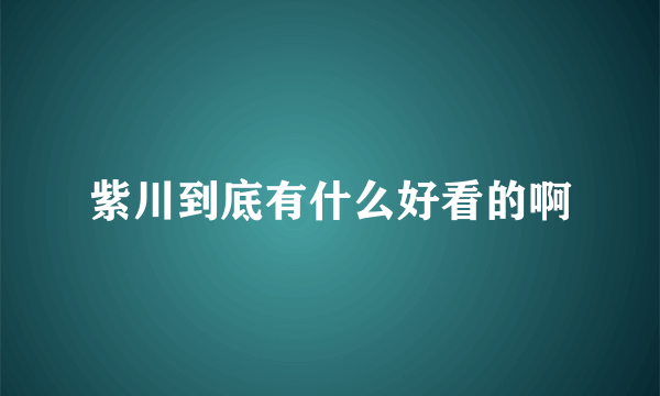 紫川到底有什么好看的啊