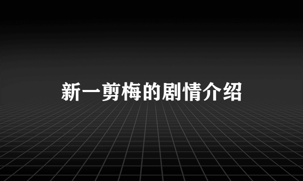 新一剪梅的剧情介绍