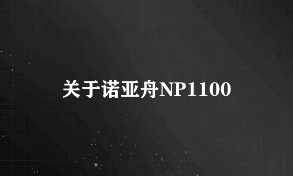 关于诺亚舟NP1100