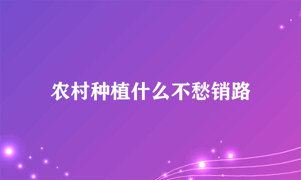 农村种植什么不愁销路