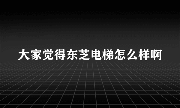 大家觉得东芝电梯怎么样啊