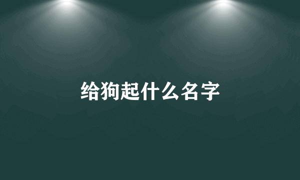 给狗起什么名字