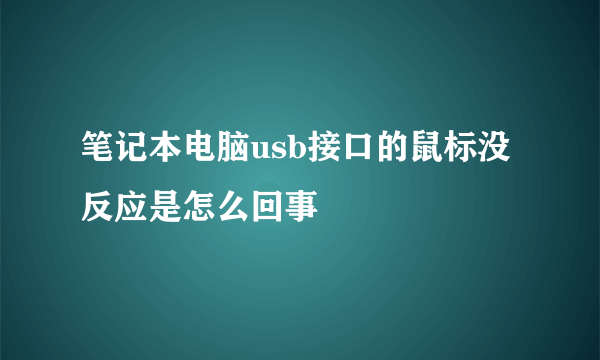 笔记本电脑usb接口的鼠标没反应是怎么回事