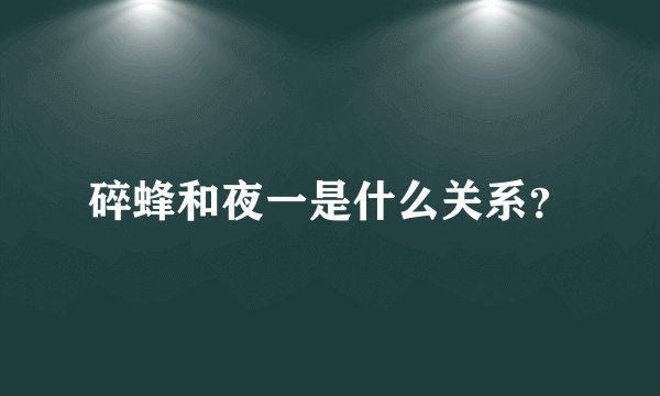 碎蜂和夜一是什么关系？