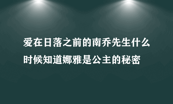 爱在日落之前的南乔先生什么时候知道娜雅是公主的秘密