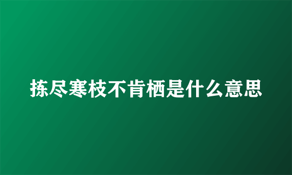 拣尽寒枝不肯栖是什么意思