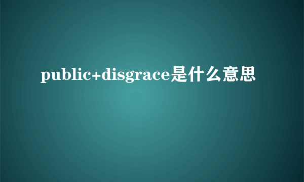 public+disgrace是什么意思