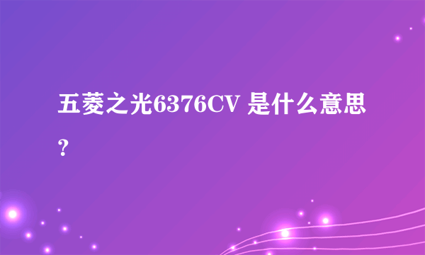 五菱之光6376CV 是什么意思？