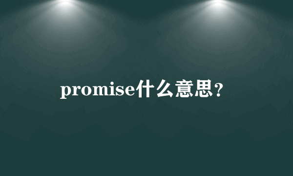 promise什么意思？